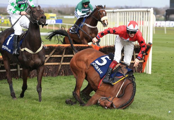 ProtectTheWild_'s tweet image. A pathetic 'sport' that exploits animals for human entertainment.

Stop gambling, stop turning up to "the races" and stop supporting this vile industry.