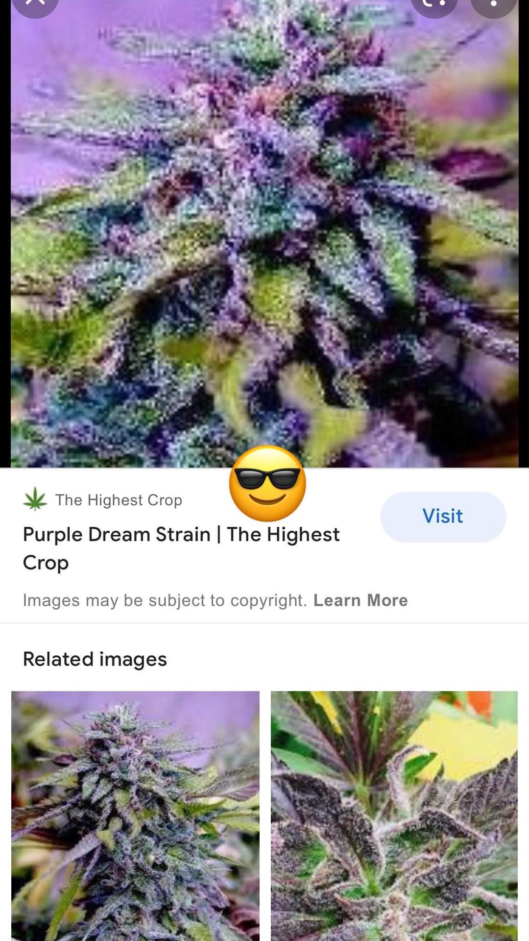 Captain_Hook (@captain_hook817) / Twitter