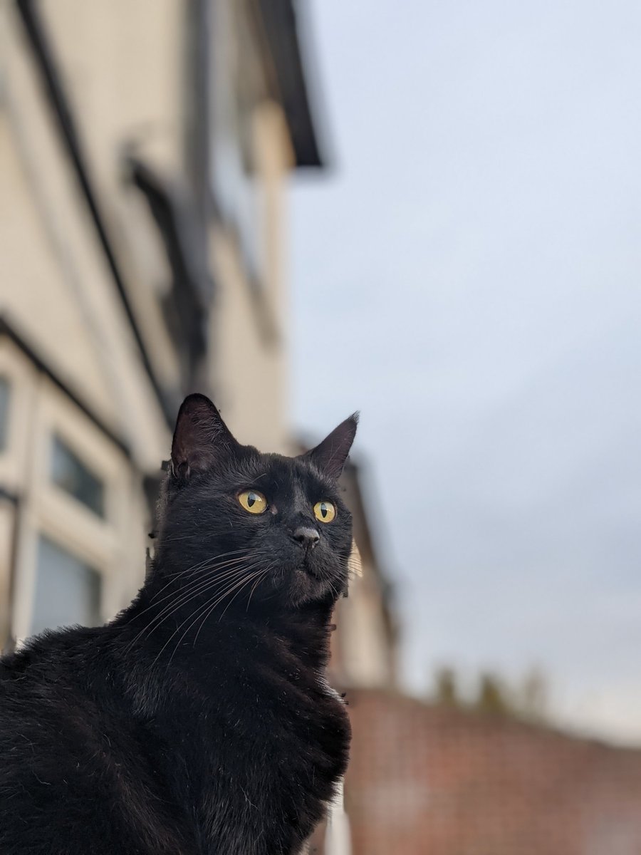 OfficialPanfur's tweet photo. #MissYourFurryFace #Bumlickers πΉπΉπΉ have a good weekend π»πππ https://t.co/yfsycF7l4p