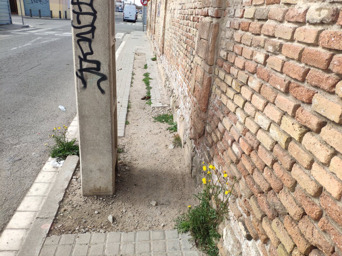 Sr. Rubens tweet media