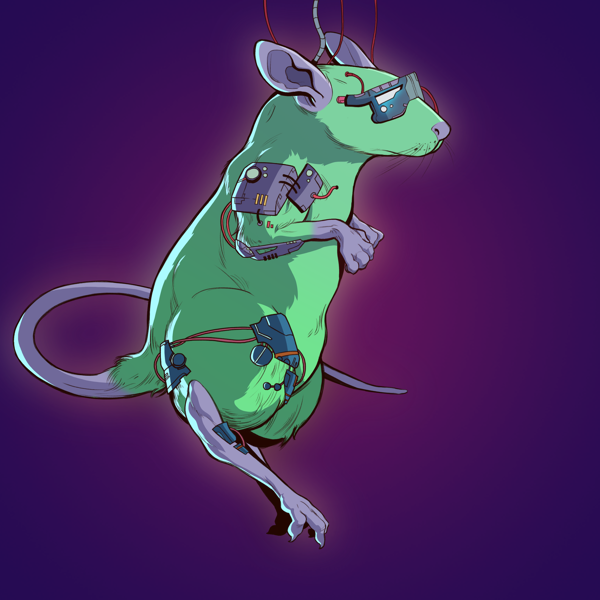 Grim (@grimy_trades) on Twitter photo It glows , it will be great partner to the first one <a href="/GenesisRats/">Genesis Rats ✨</a> <a href="/MetaRatsNFT/">MetaRats {🐀=🐀}</a> 💜🐁💜
Cheers <a href="/RunAwayInvestor/">See My Pinned Tweet</a> bro! It glows , it will be great partner to the first one <a href="/GenesisRats/">Genesis Rats ✨</a> <a href="/MetaRatsNFT/">MetaRats {🐀=🐀}</a> 💜🐁💜
Cheers <a href="/RunAwayInvestor/">See My Pinned Tweet</a> bro!