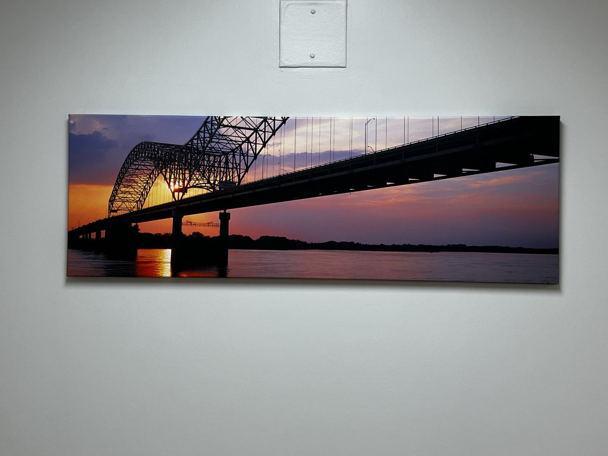 Feeling more like home! Can’t wait for our new additions to the family! <a href="/MSFamilyDocs/">Mississippi AFP</a> <a href="/hogueMV/">Mario V. Codispoti, MBA, MHA, Realtor (he/him)</a> <a href="/DrNAlsaiegh/">Nada Alsaiegh MDMPH</a> <a href="/vrk_g/">Natalia G.</a> <a href="/LauraMartinFMP/">Laura Martin</a>