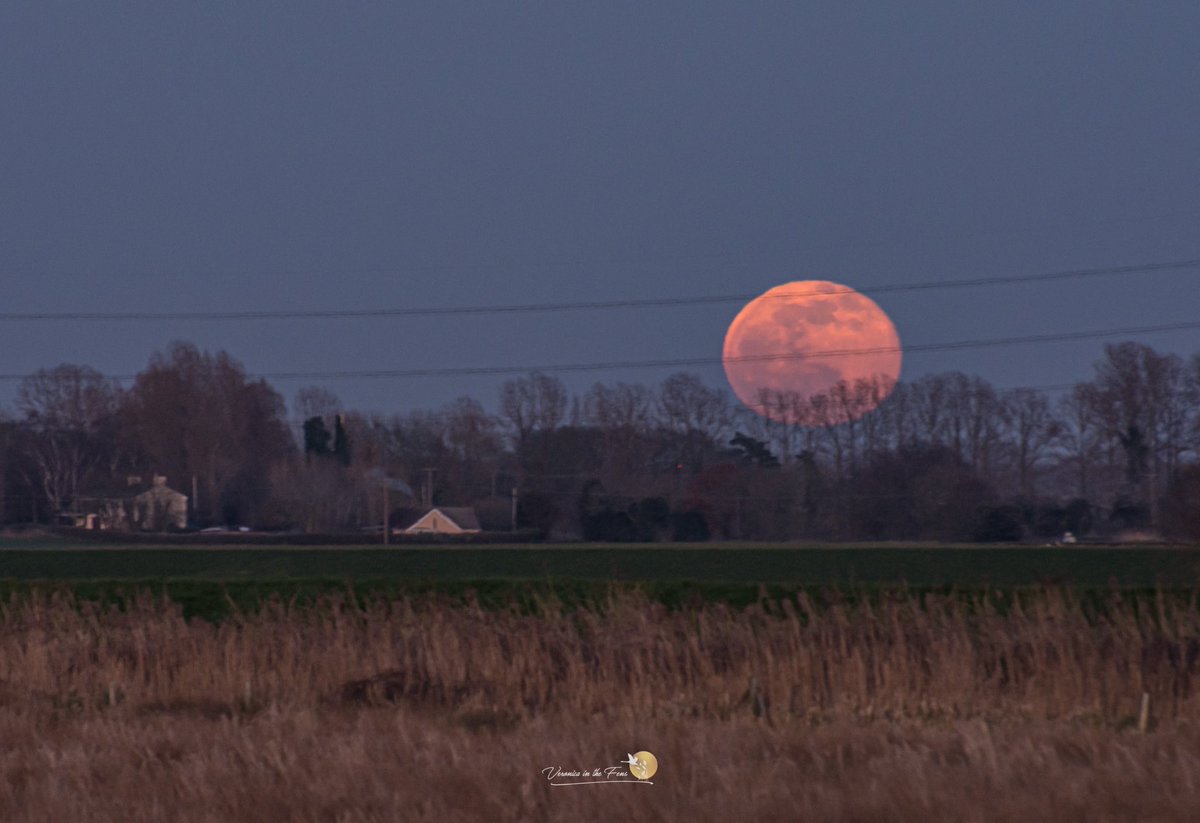 VeronicaJoPo's tweet image. I know that you know this, but I love capturing the Moon 😍🌝😍 
The Full Moon rising over the Fens in Ely, Cambridgeshire this evening. 
#fullmoon #thefens #wormmoon #landscapephotography #ElyRiverside @SpottedInEly