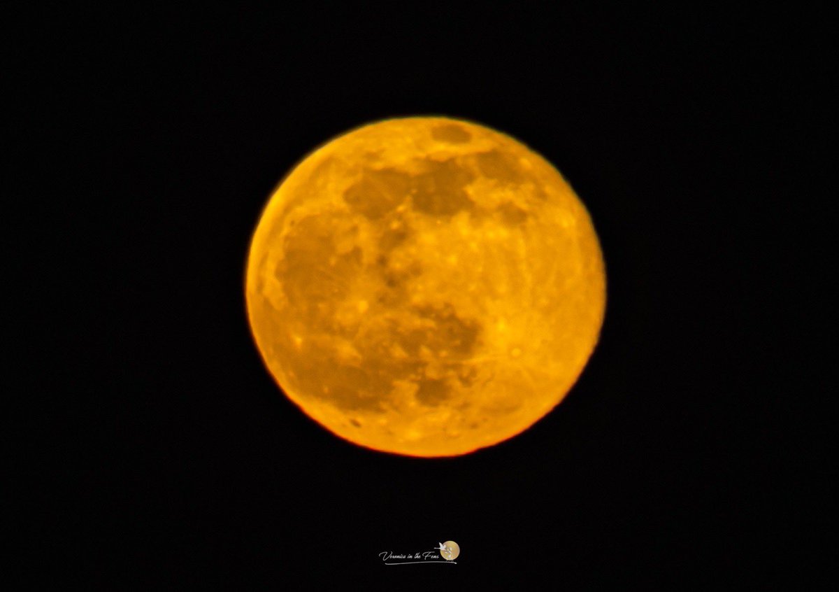 VeronicaJoPo's tweet image. I know that you know this, but I love capturing the Moon 😍🌝😍 
The Full Moon rising over the Fens in Ely, Cambridgeshire this evening. 
#fullmoon #thefens #wormmoon #landscapephotography #ElyRiverside @SpottedInEly
