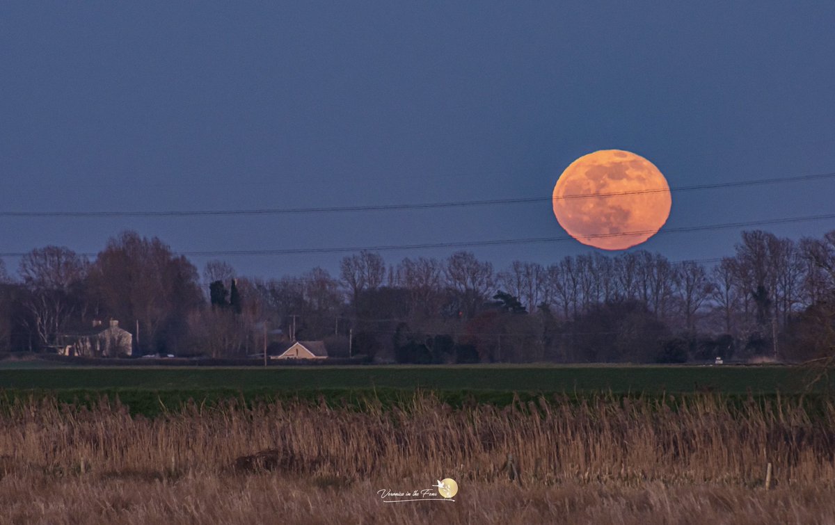 VeronicaJoPo's tweet image. I know that you know this, but I love capturing the Moon 😍🌝😍 
The Full Moon rising over the Fens in Ely, Cambridgeshire this evening. 
#fullmoon #thefens #wormmoon #landscapephotography #ElyRiverside @SpottedInEly