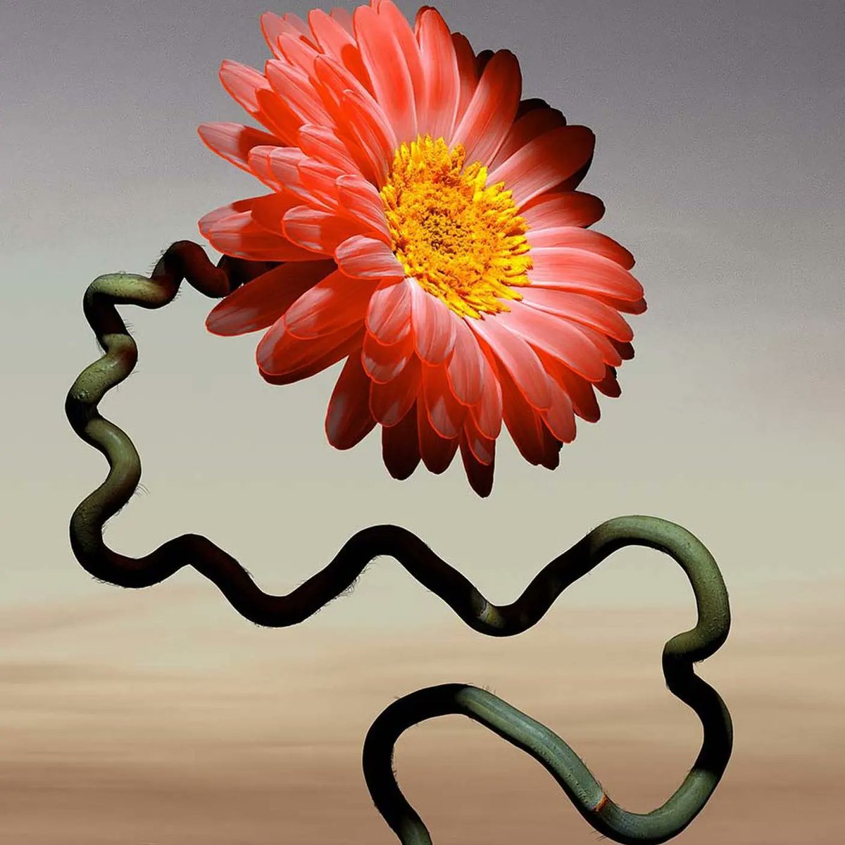 oddnftstudio's tweet photo. "The Fleur" is a collection of 21 unique surreal species created by @ondrejzunka that live on the Ethereum blockchain.

#nftmagazine #contemporaryart #nftgallery #nftmuseum #nftcommunity https://t.co/200XMRQZ5V