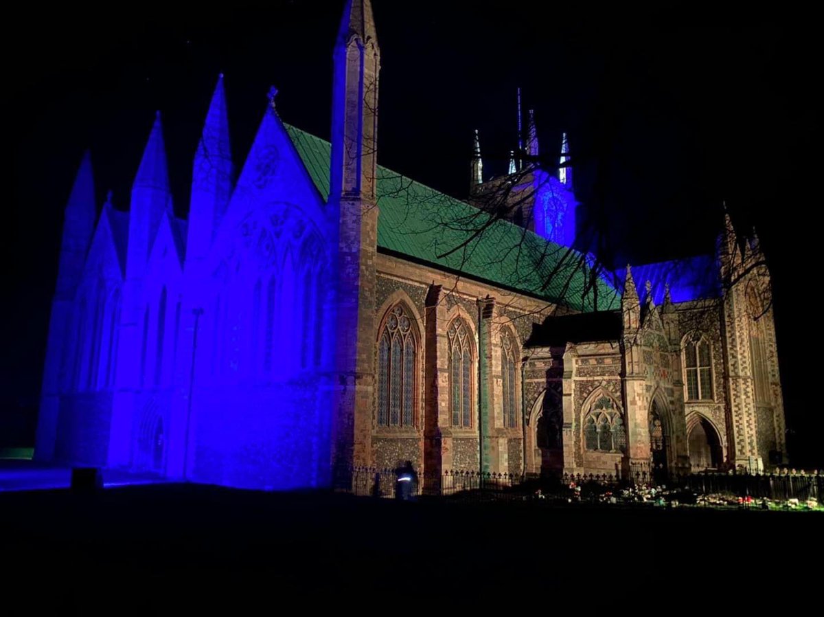 Jambo Laura🐢🐡 tweet media