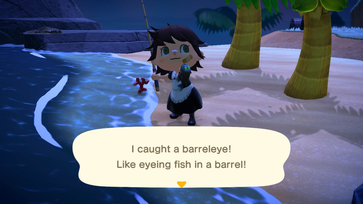 KidDynam0's tweet photo. Also, i finally caught all fish in the game!  #AnimalCrossing #ACNH #NintendoSwitch https://t.co/PskLPXeLtH