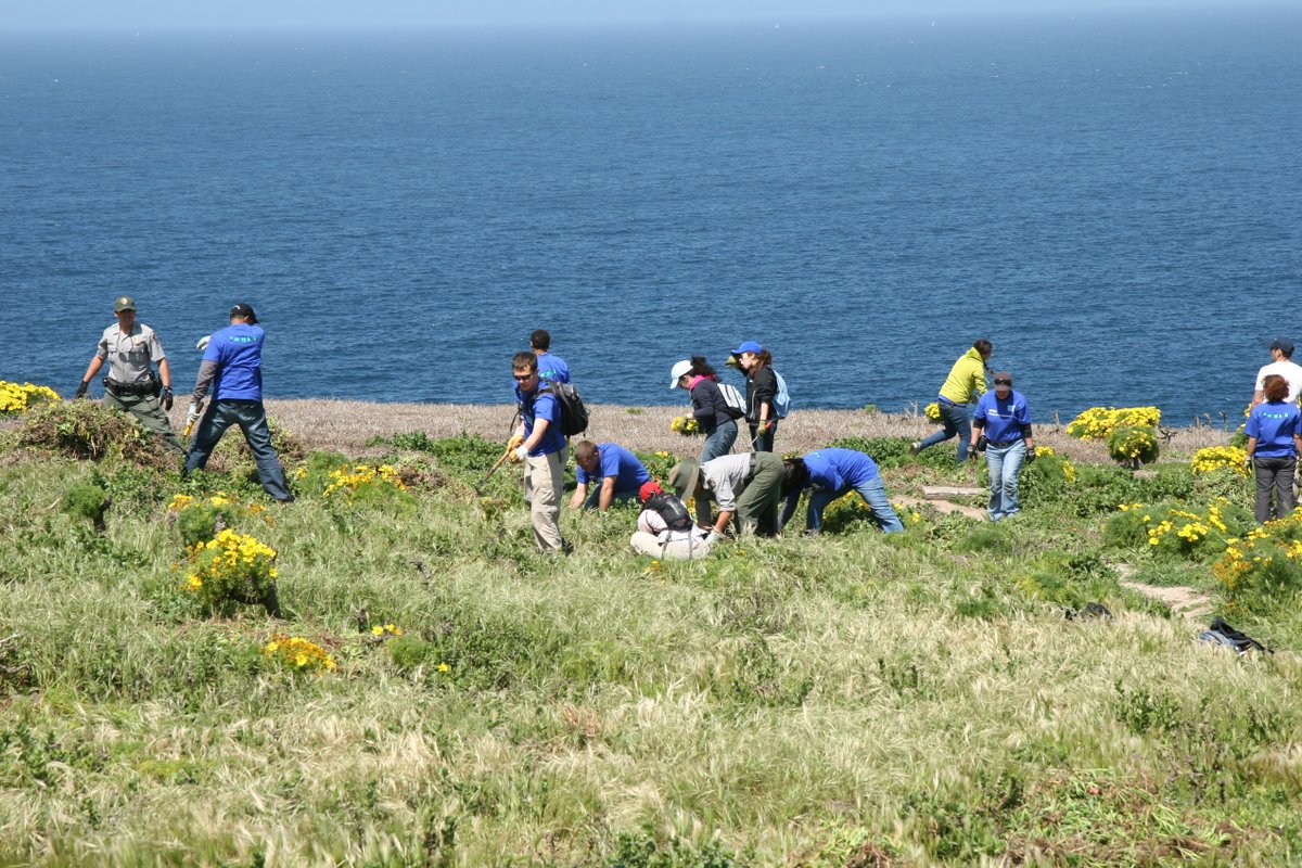 Group of people working with plants on an island.