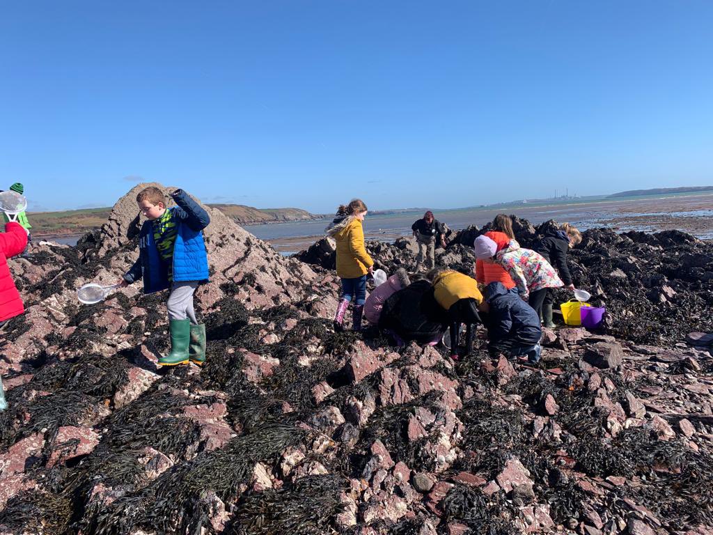 hook_sermor's tweet photo. The most perfect day. Dosbarth Ser Mor visited Dale Beach today to enjoy a wonderful marine life workshop with our friends Darwin Centre. Diolch Darwin 🐟🦐🦀🐚🌊
@SchoolsPembs https://t.co/nMnWgM78O4