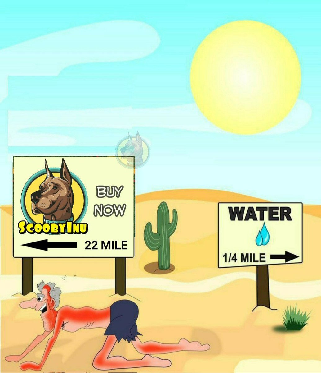 OnlyTheBestGem's tweet photo. @cryptogems555 Don't forget @ScoobyInuToken #scoobyinu https://t.co/RvCZsEd6Lo