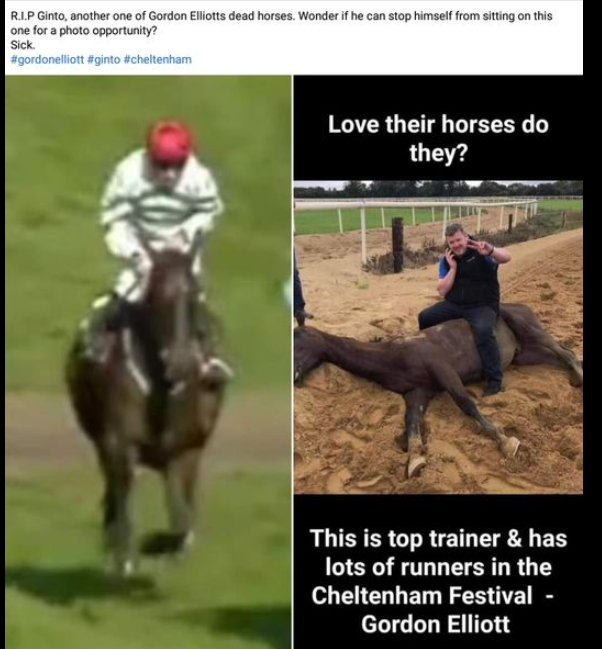 AnimalPartyIE's tweet photo. R.I.P. Ginto, another one of Gordon Elliotts dead horses. Wonder if he can stop himself from sitting on this for a photo opportunity? Sick #gordonelliot #CheltenhamFestival
#BanHorseracing @banbloodsports @AnimalsCount @animaljusticeAU https://t.co/0gGcLF8Mrn
