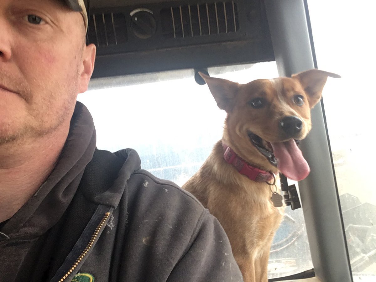 I’ve got a boxcar magnum and a left hand discharge lucknow mixer and this is the help I get….#icantseedog!!!