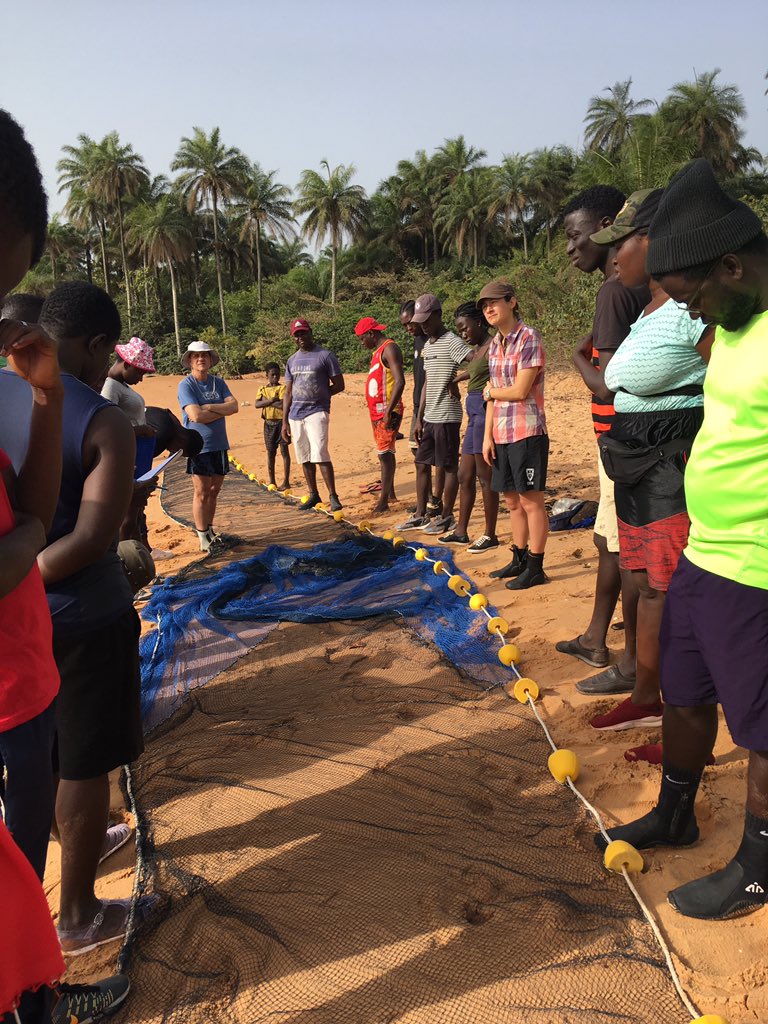 tidal_wings's tweet photo. Beach seine and fish processing with students. Coastal fishes in the Bijagos archipelago are key for both people and birds! @ibapgb @MavaFdn @CESAM_Univ @FC_UL https://t.co/BQtPXTw7nu