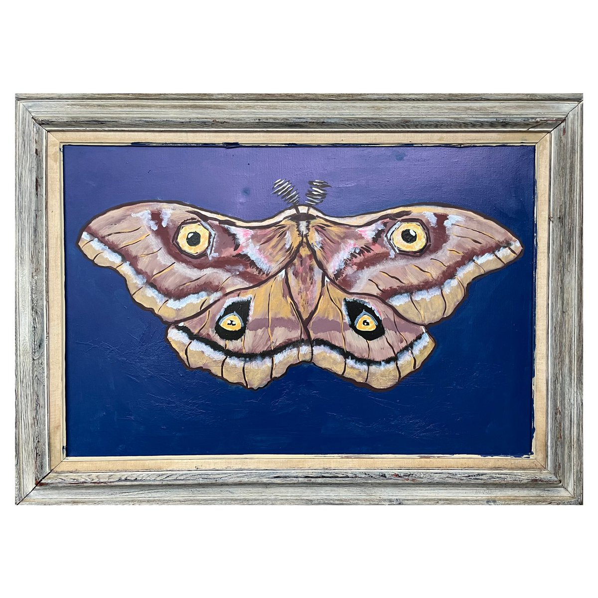 I Am Not a Butterfly