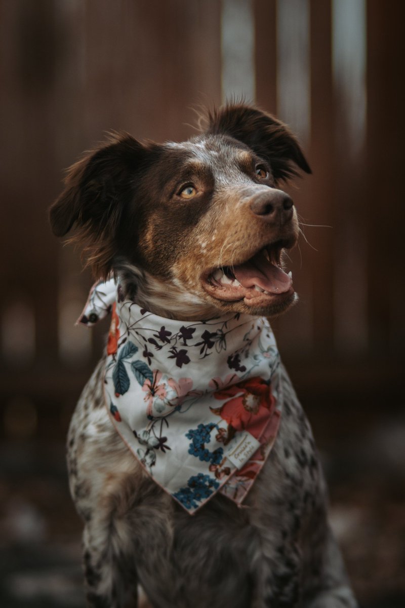 Groot & Riley tweet media