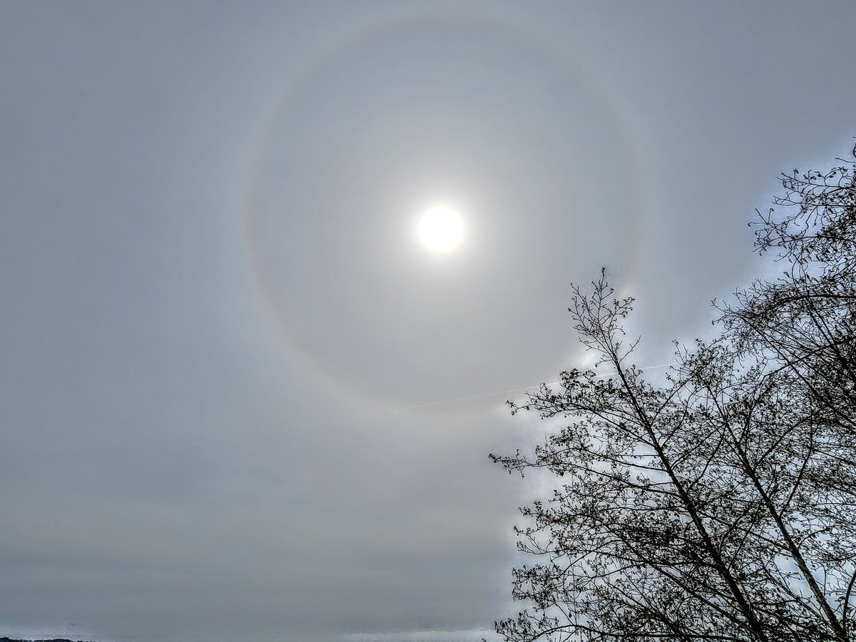lone_wolf__1's tweet photo. i call this one  'electric blue'
#photography #nature #sunhalos #art 🥀 https://t.co/Rez0gzwfZB
