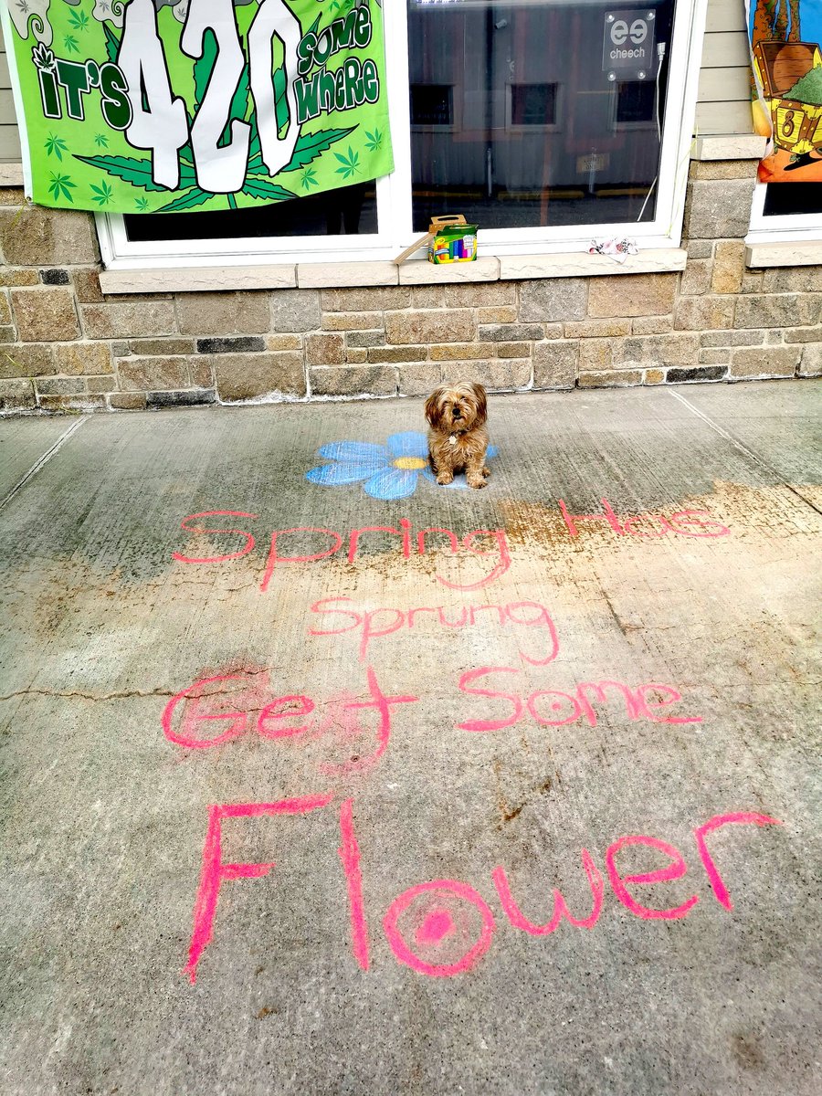 TheFlowerPotON's tweet photo. Okay so maybe the tulips aren't blooming yet but our inventory is! Come in to check it out and get that spring in your step! https://t.co/w5RUSCv5bZ