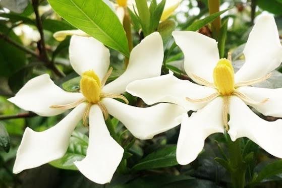 Dang Dang Dangdang1103 Twitter Dang Dang Dangdang1103 Twitter