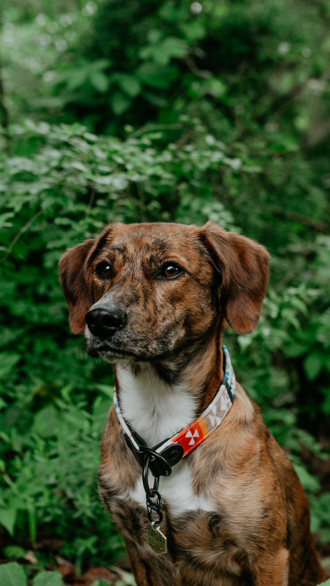 Tahoe & Marissa tweet media