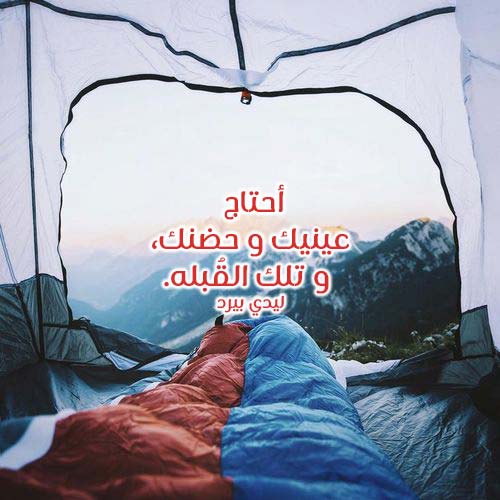 لو علمت معنى الأوطان لهممتُ بك عشقا وألتصقتُ بك كطفل في حضن أبيه