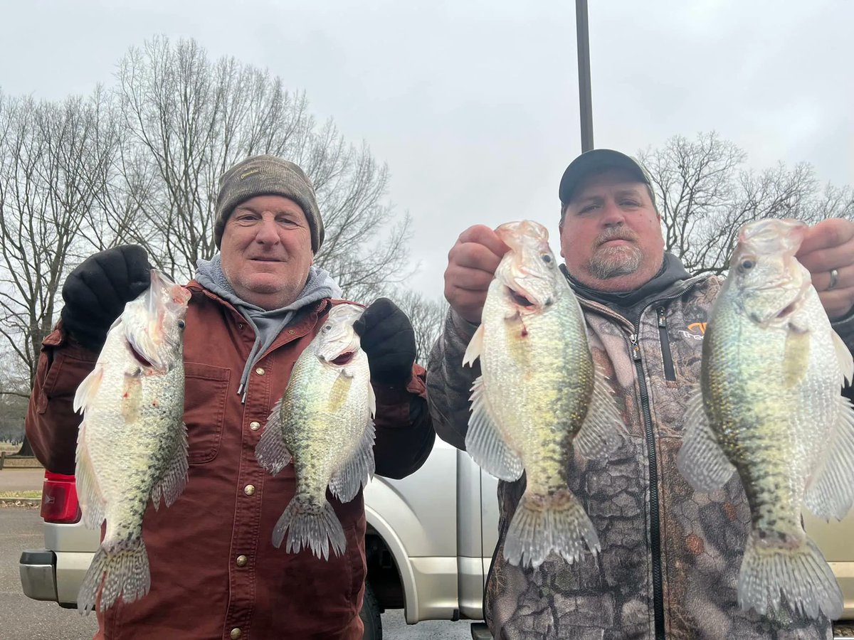 CrappieNow's tweet photo. “Day 2 Tim and David laid the wood to em’ getting a Double Limit before lunch cold weather didn’t stop these guys.” - Repost from JH Guide Service! You know they’re using Crappie Magnet lures to get their clients #limits!
#fishinglimits #crappiefishingguide #fishingguide #crappie https://t.co/qBAdzjW4AM