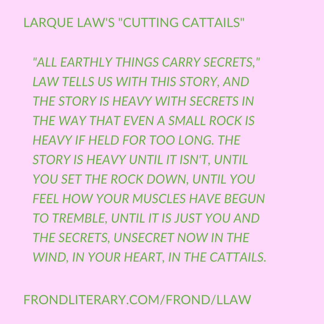frondliterary's tweet photo. We blinked and it’s the final issue of season 2! We’re happy and sad about it!! But happy feelings ONLY about sharing “Cutting Cattails” by Larque Law🌿🌈💚 https://t.co/psC9pL1mDR https://t.co/Td46MVfsyx