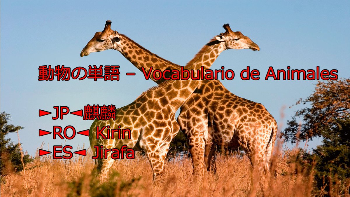 teshimide's tweet image. Aprender japonés es fácil y divertido.
@teshimide