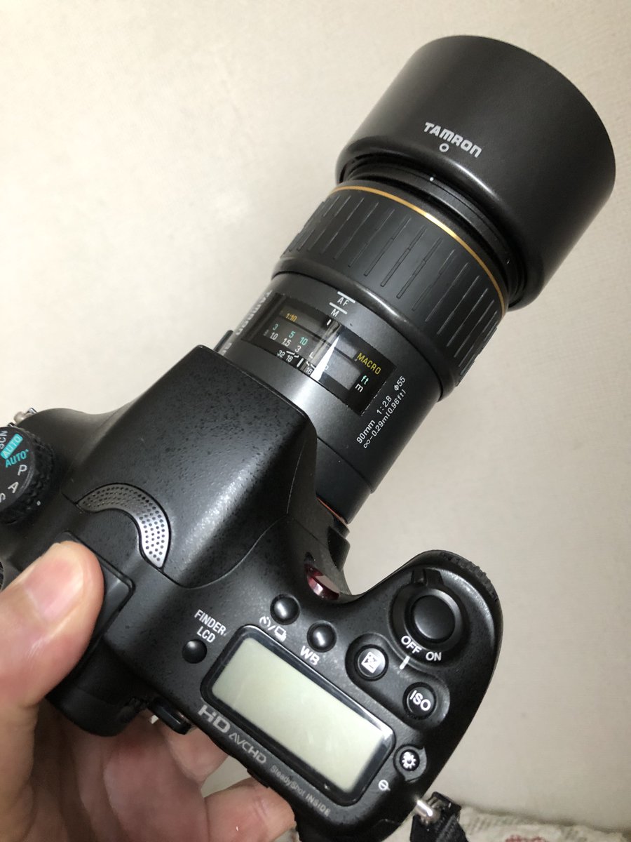 satoru9n8s2's tweet photo. 病院の後でお写ん歩行ってきました!お供はこちら‼️
#tamronSP90mmf28
ちょっと古い #72E と #α77 の組み合わせ https://t.co/K1dm6OtjEt