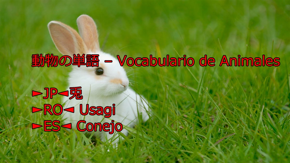 teshimide's tweet image. Aprender japonés es fácil y divertido.
@teshimide