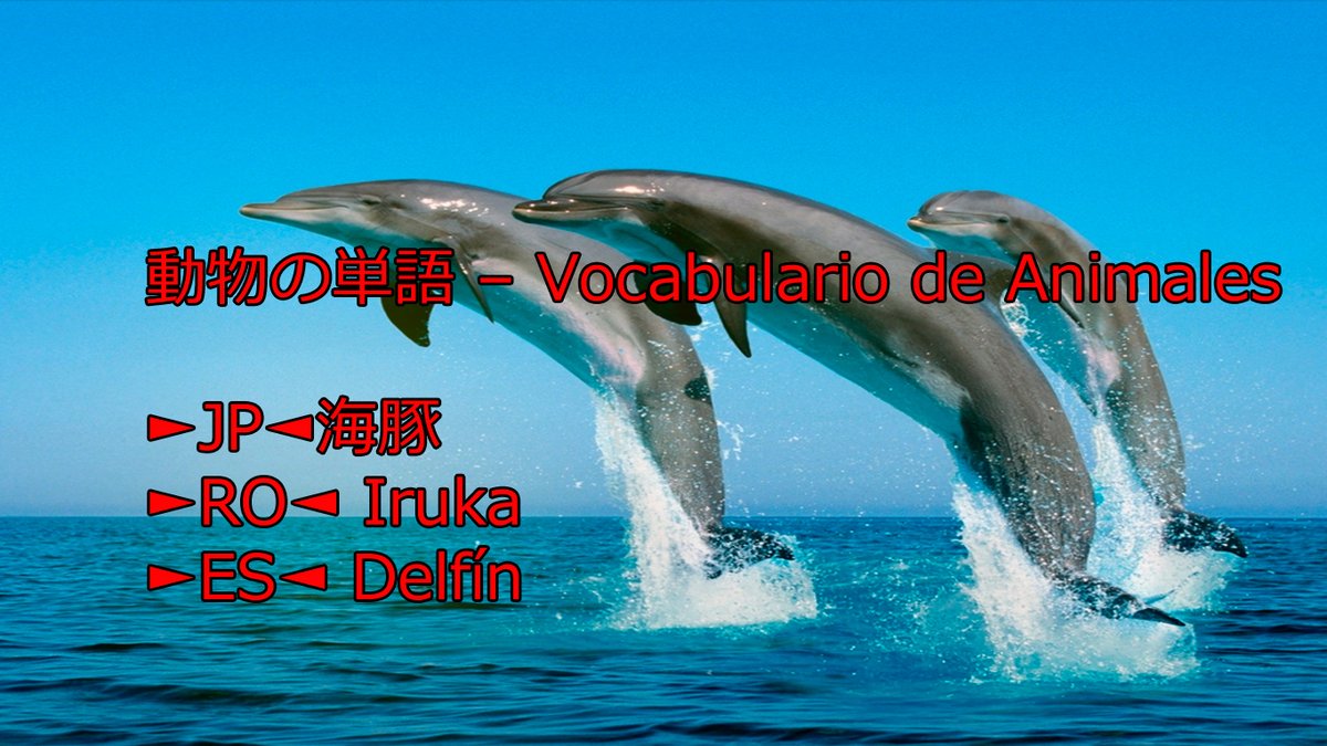 teshimide's tweet image. Aprender japonés es fácil y divertido.
@teshimide