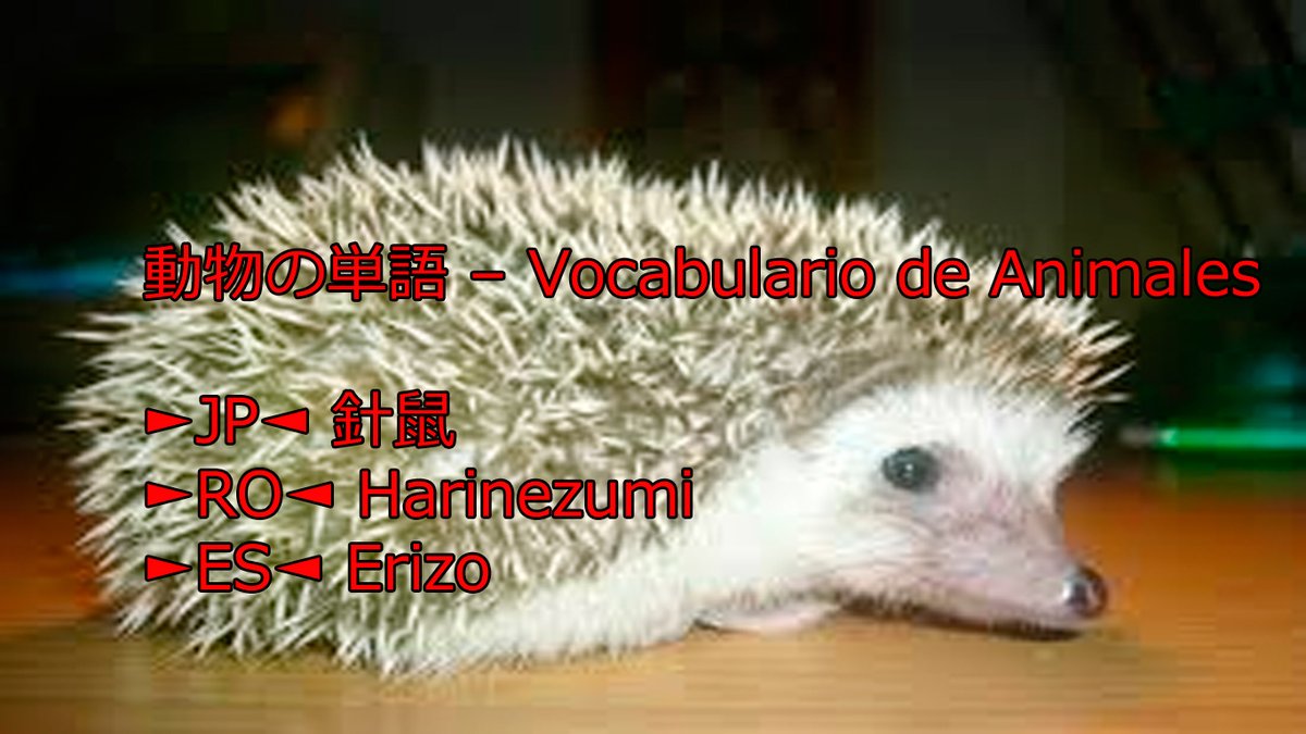 teshimide's tweet image. Aprender japonés es fácil y divertido.
@teshimide