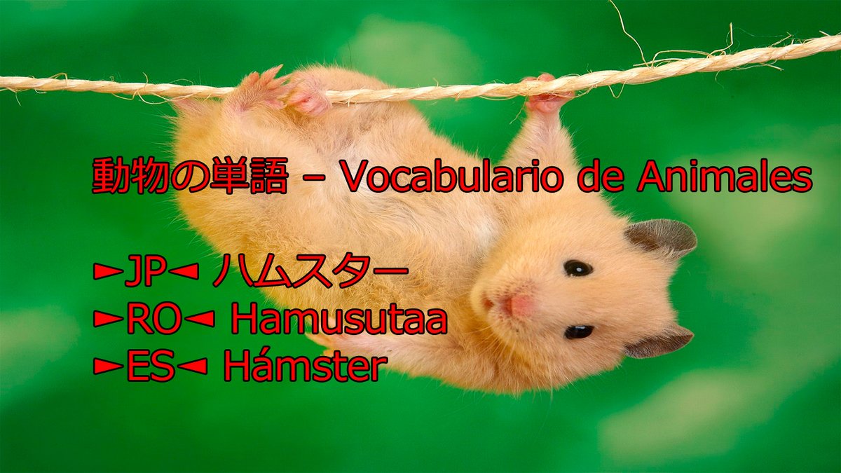 teshimide's tweet image. Aprender japonés es fácil y divertido.
@teshimide