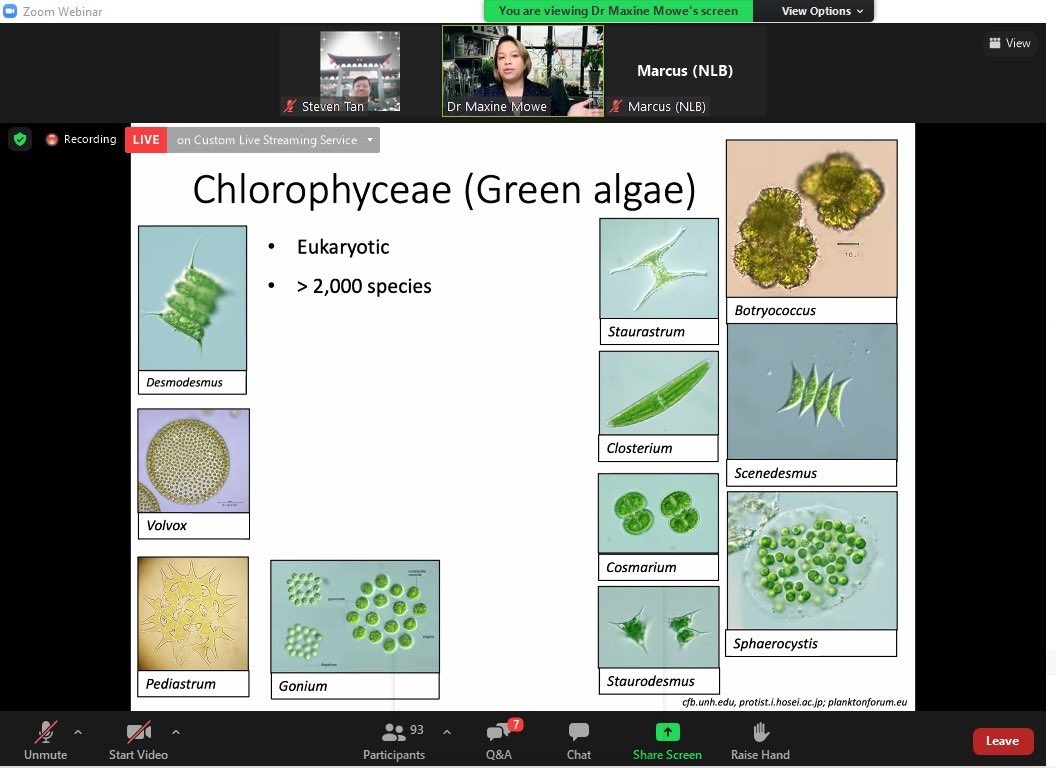 Maxine Mowe tweet media