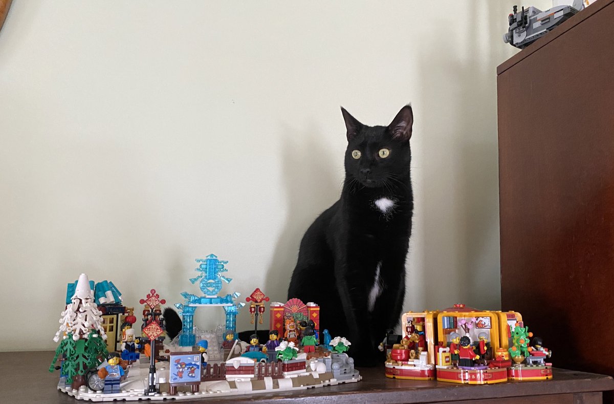 SarahThrawn's tweet photo. Hugh and Lego #Caturday https://t.co/guqoFCmryn