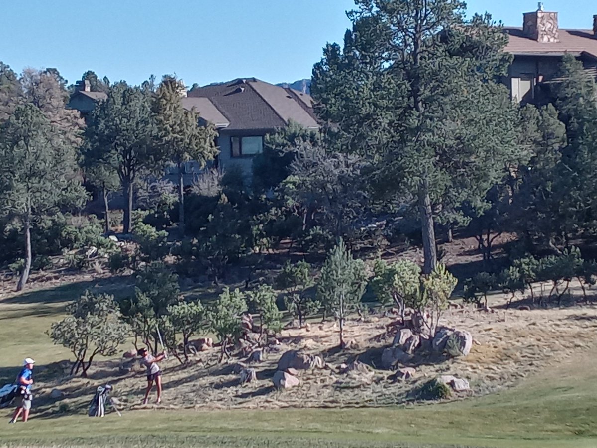 LoveAtAllTimes5's tweet photo. Today was a good day to play golf in Payson, Arizona. Nara tied for 1st place, 9-holes scoring a 42. Great start to the Jr. High golf season for Sequoia Pathway Academy. Congratulations #ProudPuma #SequoiaPathwayAcademyMaricopa #JrHighGolf https://t.co/9Y6OMAWiWX