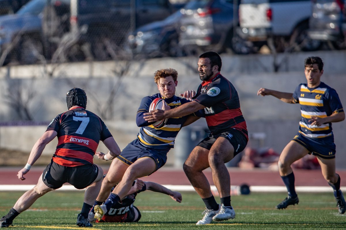 Cal Varsity Rugby tweet media