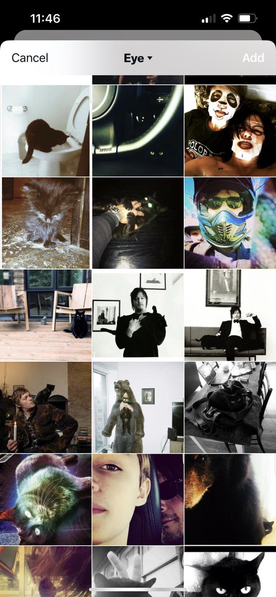 <a href="/NormansCat/">Eye In The Dark</a> <a href="/wwwbigbaldhead/">norman reedus</a> @clanzivino I’ve got a damn folder on my phone dedicated to that lil fuzz ball ❤️💕😽LOTS OF LOVE sent your way…dang no words can express it…but thinking of you!!! ❤️💕❤️