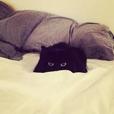 Nicole💀 tweet media