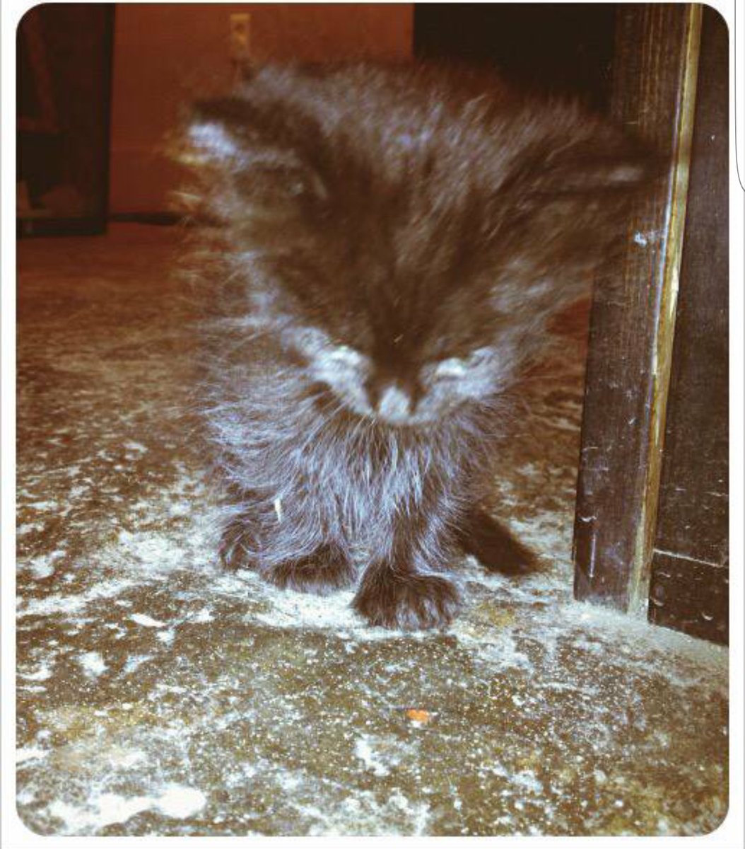 Nicole💀 tweet media