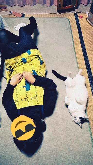 母から寝落ちした妹の写真送られてきた 