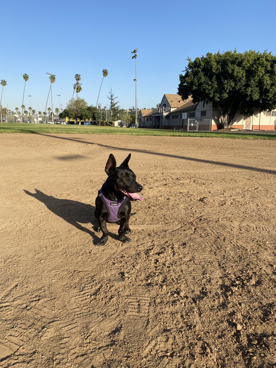 Alex Fast tweet media