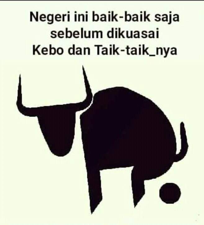 muki EOA Gold tweet media