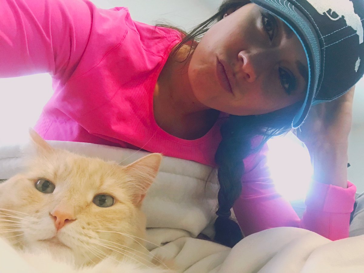 Em_Maria_Riley's tweet photo. Prince / Princey Poo / Princeifer / Furry Loaf / Mew Mew 🐱🤍
#3.17.22 https://t.co/siqfJMnqVk