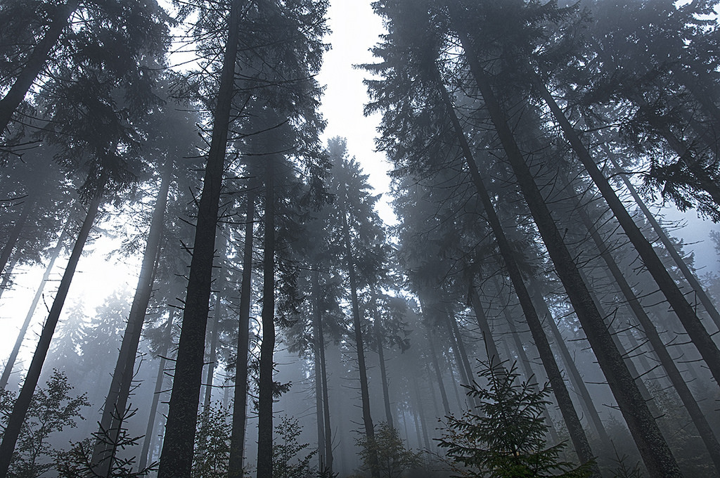 archillect's tweet image. 