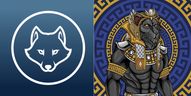 The Wolf Pack tweet media