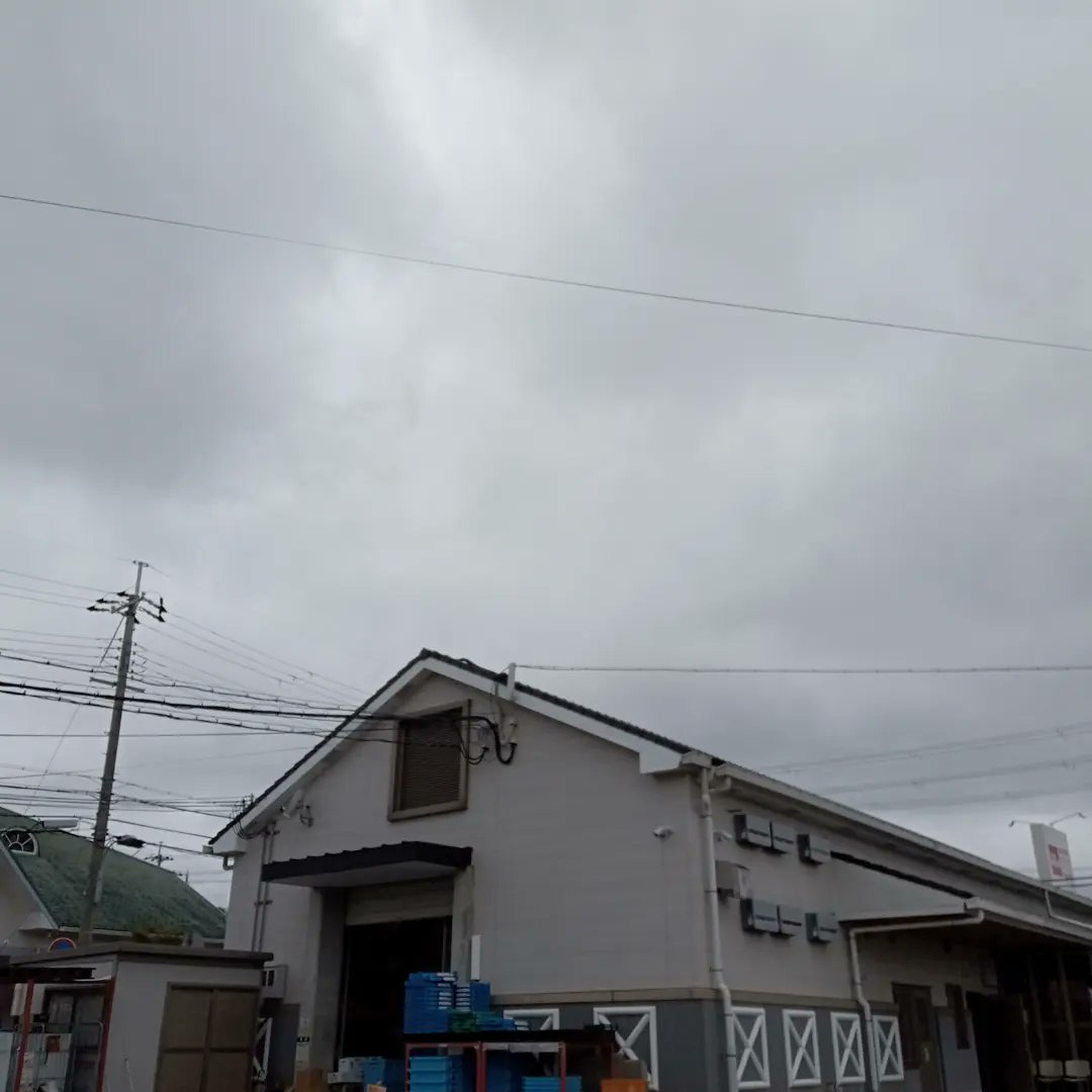 きょきょ 曇り空からのスタート 農野花 の空 菊芋ブロッコリー出荷しました ブロッコリーどこのお店も大量 安売り競走に加担 しあわせの村 マチマルシェ御影 T Co Vs2chtjgro Twitter