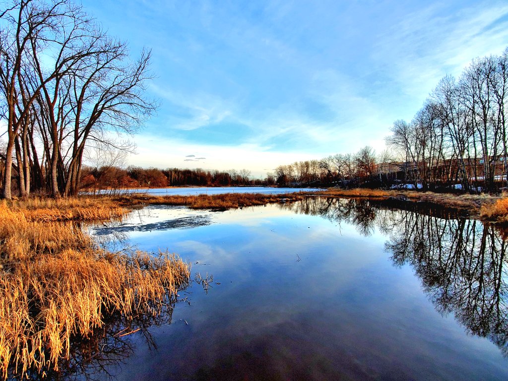 Ohsaraschmitt's tweet image. It wasn't quite as warm during my walk today, but the sun was out, and it seems like spring is finally on its way. 
#MinnesotaSpring #spring #nature #NaturePhotography
