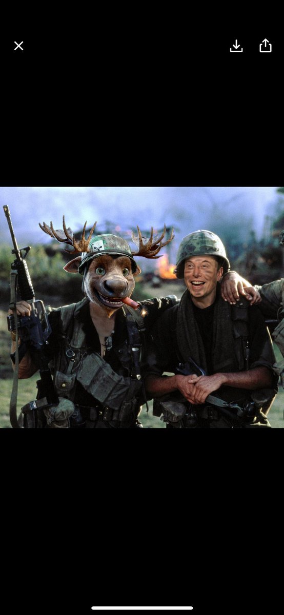 xmoosenft's tweet photo. ✨FOR THE VERY FIRST TIME IN THE NFT WORLD>>🚨 🚨We will be issuing moose back to anyone who was robbed of their moose on Mint day.  Our community is everything and we will make it right for all of you.  HAPPY FRIDAY! ❤️🙏🏻❤️ https://t.co/eameLJA6I0