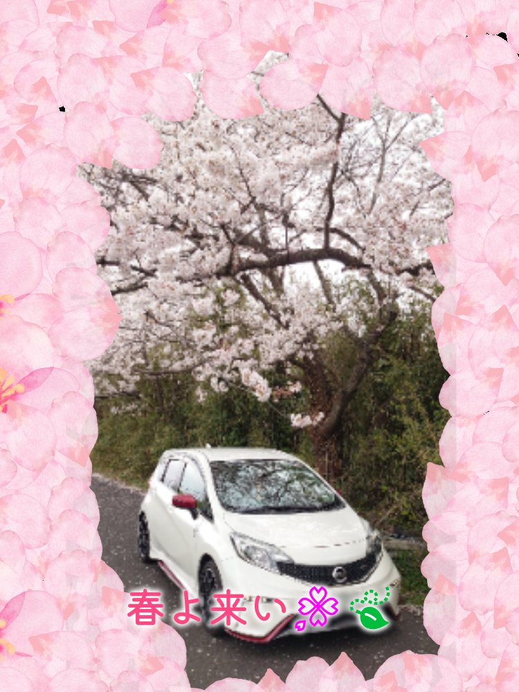 4151500's tweet photo. いつも休みの初日は仕事の疲れが出てダラダラしがち😅
#大人のさくら抹茶🌸🍃🍵
#creamcollon
#桜フィルター🌸 https://t.co/RoBCz1Uooh